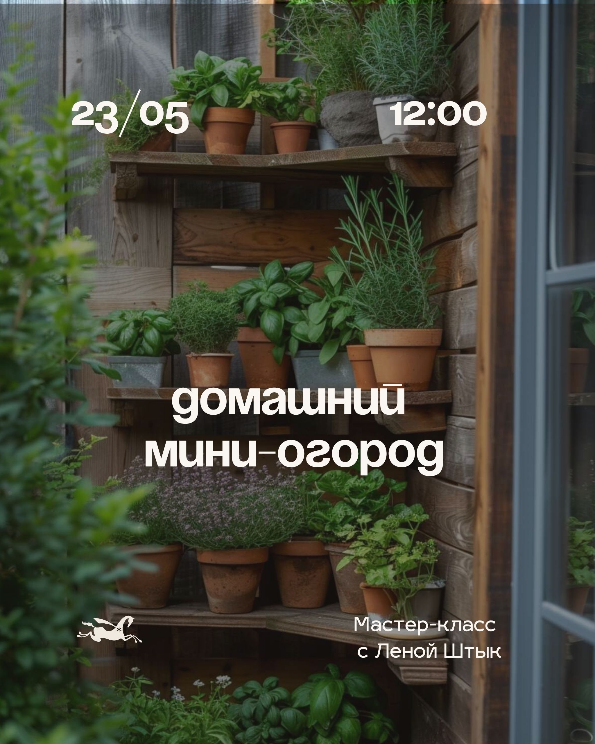 Создаем домашний мини-огород